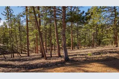 113 Schmittel, Sedalia, CO 80135 - Photo 1