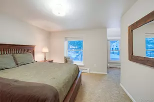 105 S High St, Breckenridge, CO 80424 - Photo 14