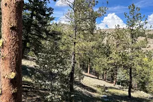 30101 County Rd 46AA, Villa Grove, CO 81155 - Photo 20