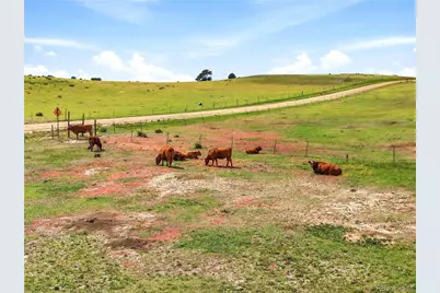 3501 County Road 106, Elizabeth, CO 80107 - Photo 16