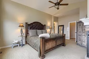 9309 Viaggio Way, Highlands Ranch, CO 80126 - Photo 18