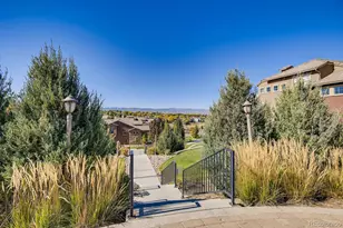 9309 Viaggio Way, Highlands Ranch, CO 80126 - Photo 46