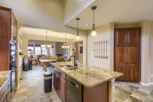 9309 Viaggio Way, Highlands Ranch, CO 80126 - Photo 12
