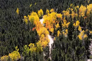 719 Miners Candle Rd, Idaho Springs, CO 80452 - Photo 28