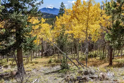 719 Miners Candle Road, Idaho Springs, CO 80452 - Photo 38