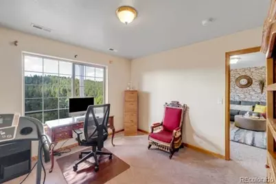 182 Spruce Trail, Bailey, CO 80421 - Photo 24