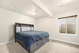 6669 Zebra Grass Ln, Parker, CO 80138 - Photo 20