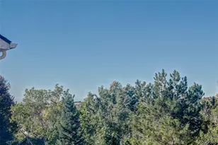 22159 Wintergreen Way, Parker, CO 80138 - Photo 36