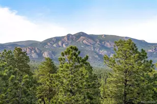 229 Mohawk Trail, Pine, CO 80470 - Photo 40