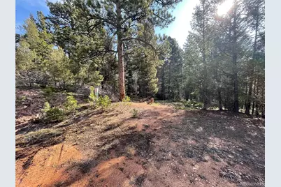 12282 Hosman Court, Conifer, CO 80433 - Photo 4