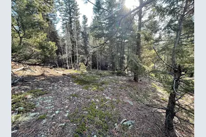 12282 Hosman Court, Conifer, CO 80433 - Photo 1