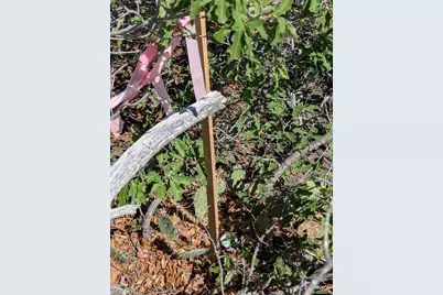 Fishers Peak Ranch Lot 14, Trinidad, CO 81082 - Photo 28
