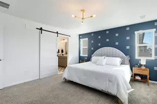 6436 Vista Cliff Loop, Castle Rock, CO 80104 - Photo 30