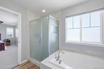 5185 Lemon Grass Place, Castle Rock, CO 80109 - Photo 24