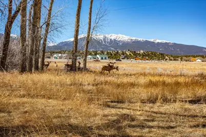 29571 County Road 350A, Buena Vista, CO 81211 - Photo 4