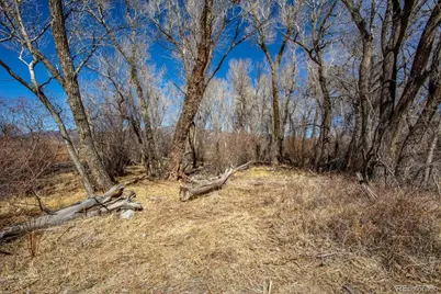 29571 County Road 350A, Buena Vista, CO 81211 - Photo 8