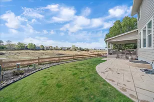 10579 Redcone Way, Highlands Ranch, CO 80130 - Photo 44