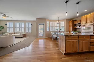 10579 Redcone Way, Highlands Ranch, CO 80130 - Photo 10