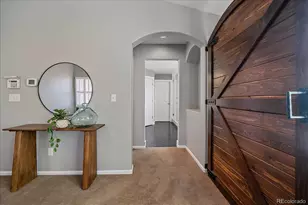 10579 Redcone Way, Highlands Ranch, CO 80130 - Photo 30