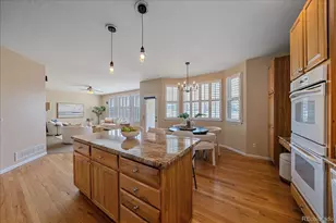 10579 Redcone Way, Highlands Ranch, CO 80130 - Photo 18