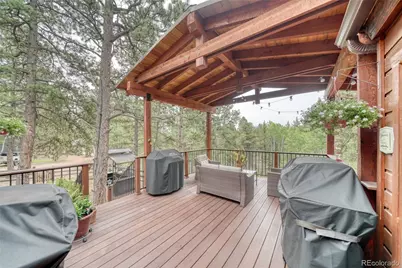 5544 County Road 5 Road, Divide, CO 80814 - Photo 38