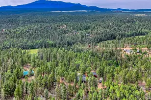 5544 County Road 5 Rd, Divide, CO 80814 - Photo 40