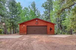 5544 County Road 5 Rd, Divide, CO 80814 - Photo 4