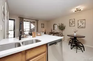 819 Summer Dr, Highlands Ranch, CO 80126 - Photo 8