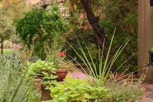 2057 Clermont St, Denver, CO 80207 - Photo 46