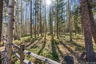 591 Creekwood Trail, Black Hawk, CO 80422 - Photo 44