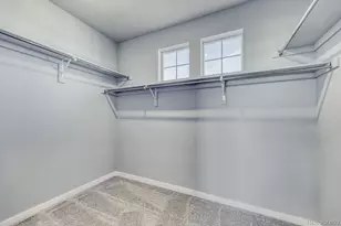 13708 Daffodil Pt, Parker, CO 80134 - Photo 14