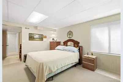 11149 Dartmoor Court, Parker, CO 80138 - Photo 36
