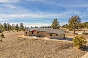 1401 Larkspur Ln, Westcliffe, CO 81252 - Photo 1