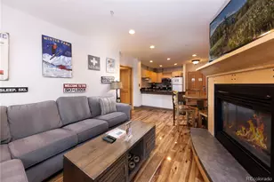 140 Ida Belle Dr, Keystone, CO 80435 - Photo 2