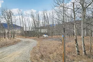 1499 Sheep Ridge Rd, Fairplay, CO 80440 - Photo 36