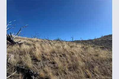 0 G Path, Cotopaxi, CO 81223 - Photo 28