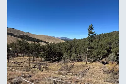 0 G Path, Cotopaxi, CO 81223 - Photo 22