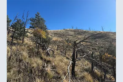 0 G Path, Cotopaxi, CO 81223 - Photo 20