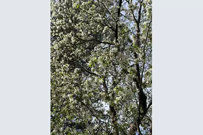 3322 S Ammons Street #206, Lakewood, CO 80227 - Photo 18