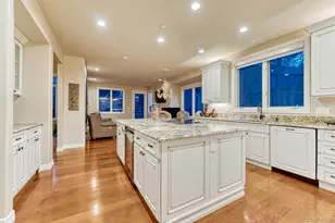 4537 Silver Dale Ct, Castle Rock, CO 80108 - Photo 14