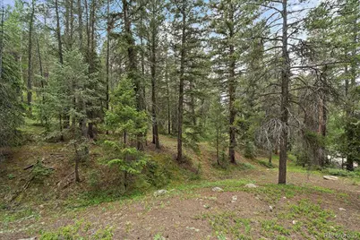 27578 Timber Trail, Conifer, CO 80433 - Photo 24