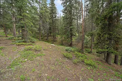 27578 Timber Trail, Conifer, CO 80433 - Photo 16