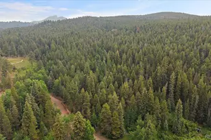 27578 Timber Trail, Conifer, CO 80433 - Photo 1