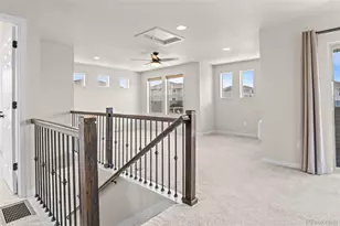 3141 Hardin St, Castle Rock, CO 80109 - Photo 24