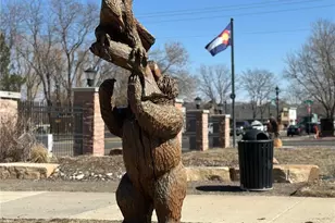 7414 Green River Ave, Frederick, CO 80530 - Photo 24