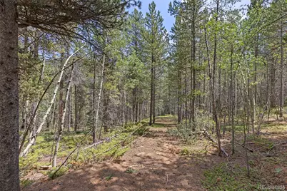 4487 Smith Hill Road, Black Hawk, CO 80422 - Photo 36