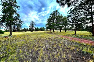 277 Cherokee Dr, Florissant, CO 80816 - Photo 6