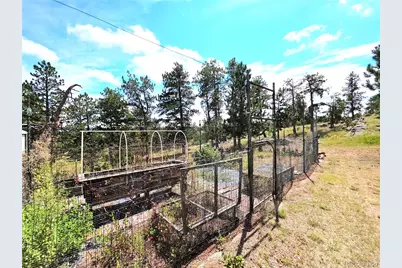 277 Cherokee Drive, Florissant, CO 80816 - Photo 36