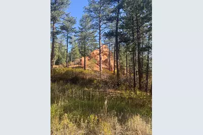 8181 Bannock Drive, Larkspur, CO 80118 - Photo 2