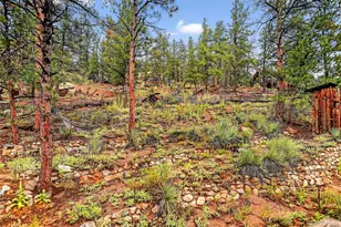 27403 Schuyler Gulch Rd, Pine, CO 80470 - Photo 34